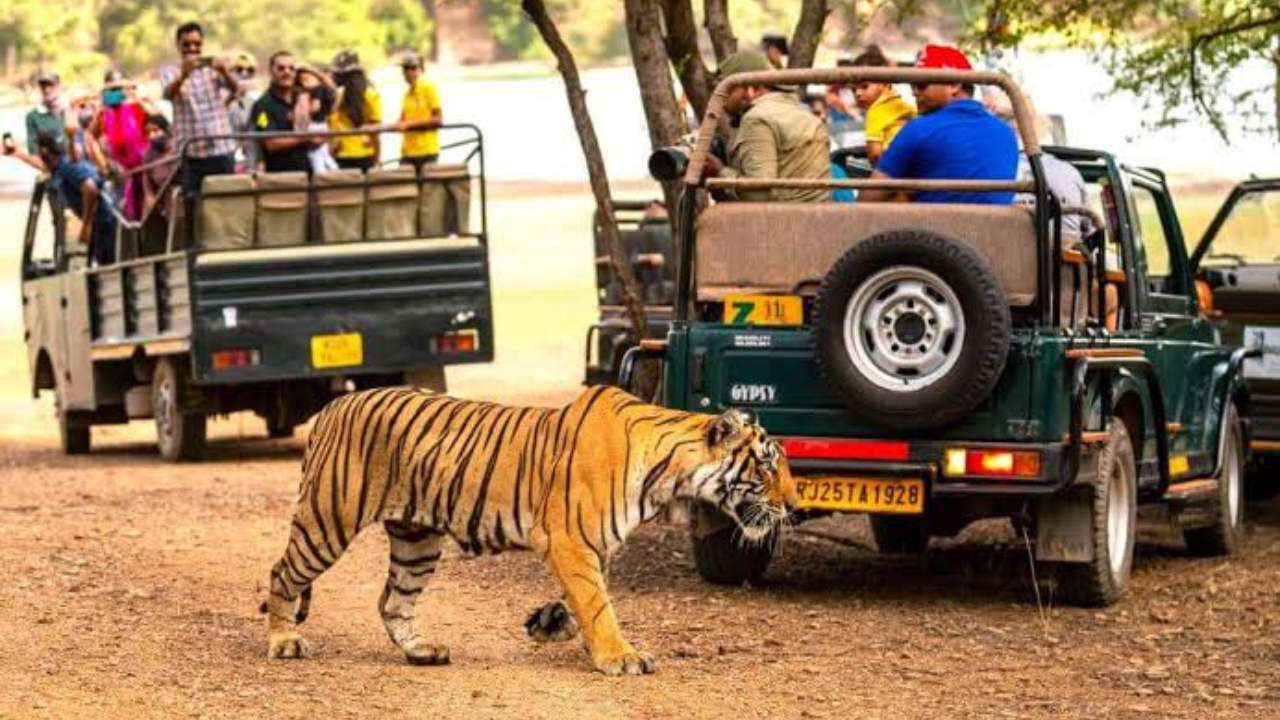 Ranthambore taxi and tour service